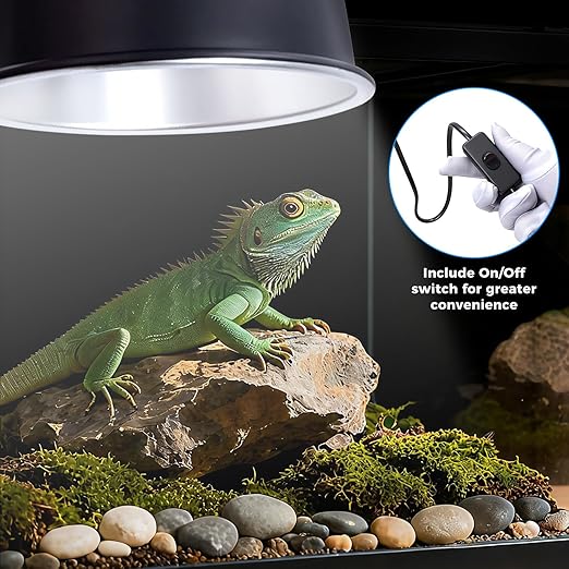5.5 Inch Reptile Deep Dome Light Fixture with Reptile Terrarium Thermometer Hygrometer