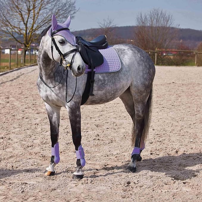 HORZE Adepto Fetlock Boots - Languid Lavender Purple - Horse