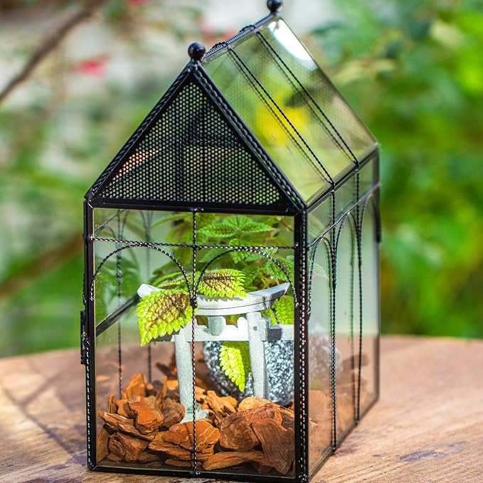 NCYP Glass Jumping Spiders Enclosure with Vent Holes - 7.5" x 4.9" x 9" Vented Glass Terrarium for Small Spider, Mantis, Small Beetle, House Shape, Tabletop Decor, Black (Terrarium Only)