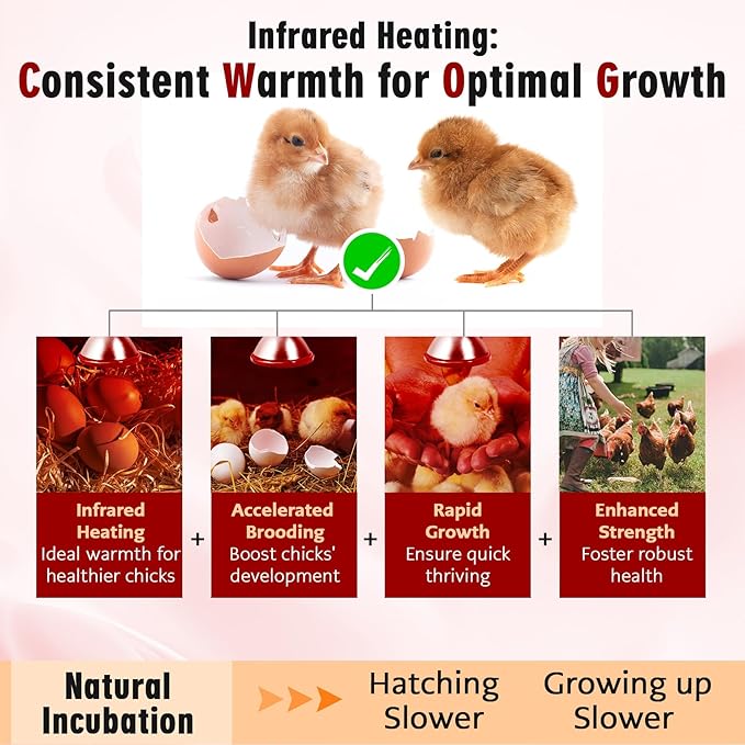 Heat Lamp, 175W Heat lamp Bulbs, PAR38 Infrared Heat lamp, Halogen Heat for Food Service, Brooder Bulb, Chicks, Pet, Bathroom, Light Therapy Use E26 Base, Flood Light Heat Lamp. 2 Pack