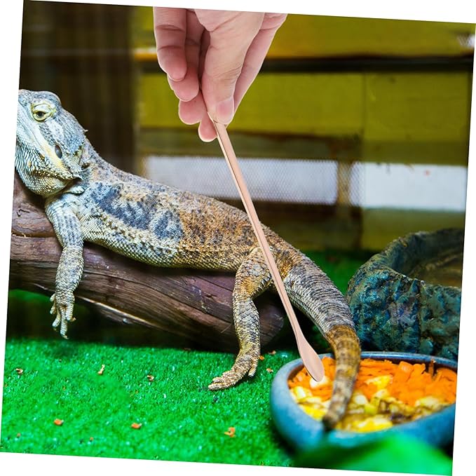 Happyyami 2pcs Reptile Feeding Spoon Ergonomic Handle Stainless Steel Pet Food Scoop for Lizard and Small Animals Easy to Use and Feeding Tool