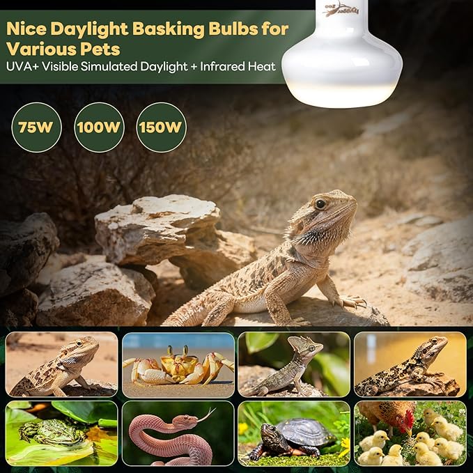 Reptile Heat Lamp, 2 Pack 75W Simulated Natural Sunlight Heat Lamp Bulbs Reptile Warm Light Lamps UVA Daylight Basking Light for Bearded Dragon Chameleon Turtle Snake Gecko Lizard Chicken, White