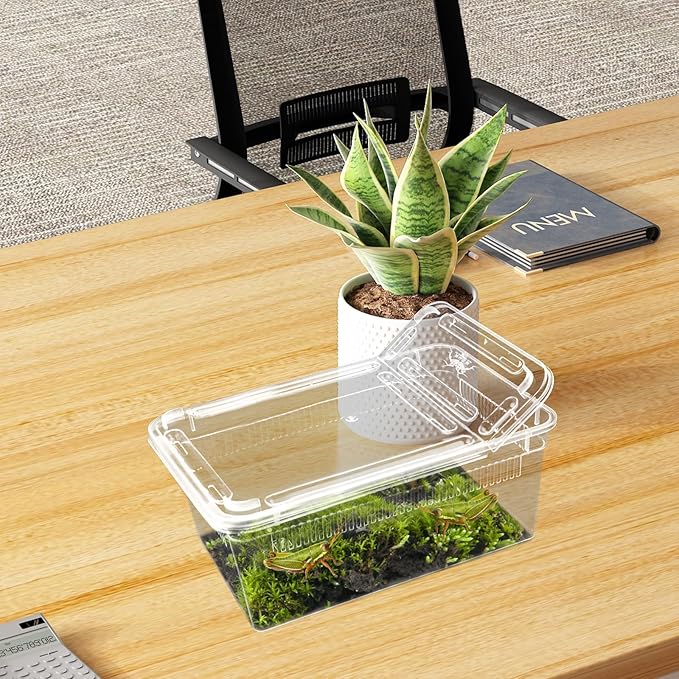 10 PCS Reptile Feeding Box, Isopod Enclosure Plastic Terrarium, Reptile Breeding Box for Bearded Gecko Dragon Lizard Spider Frog, Rreptile Carrier (Clear) (Clear, 7.5x4.9x3 in)
