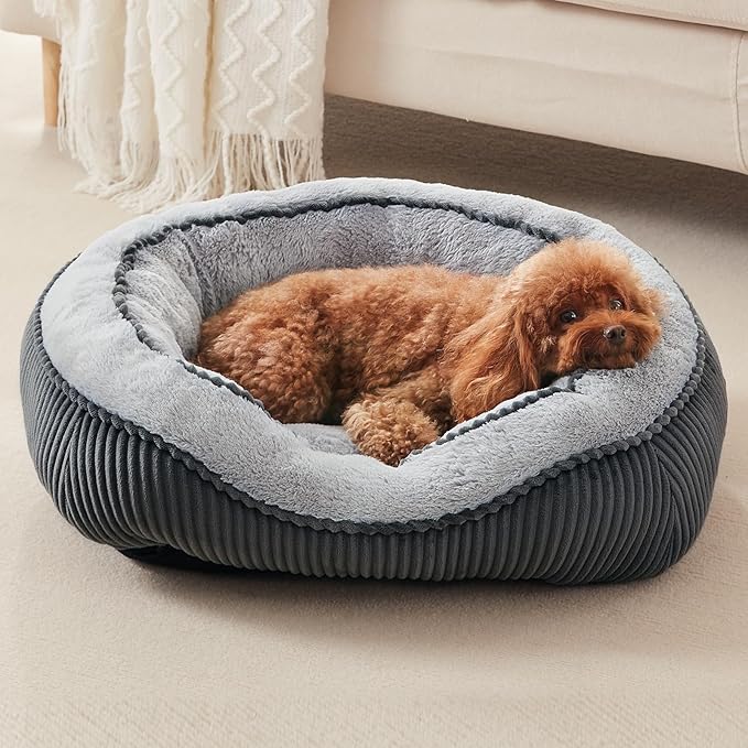SIWA MARY Washable Dog Bed for Small Medium Sized Dogs, Rectangle Small Puppy Cat Dog Beds, Orthopedic Pet Bed, Soft Breathable Calming Pet Sofa Bed Anti-Anxiety with Anti-Slip Buttom, S(20"x19"x6")