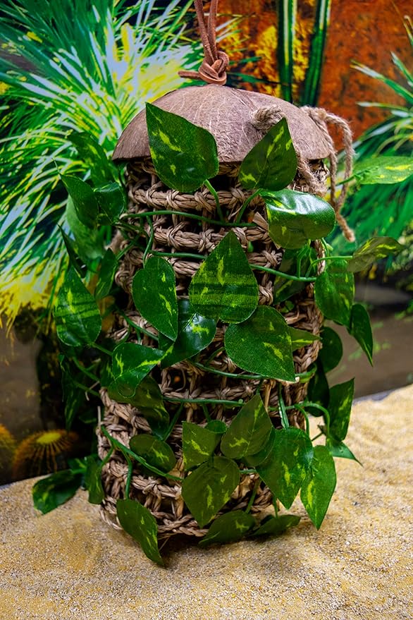 Lizard Lounger Penn-Plax Reptology for Bearded Dragons, Iguanas, and Other Reptiles - Adjustable Hanging (Coconut Climber)