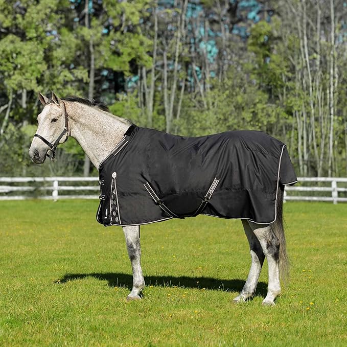 Equinavia Norse Lightweight 100g Fill Horse Rain Blanket | Waterproof Turnout Sheet - Black - 66 in - Black - 66 in