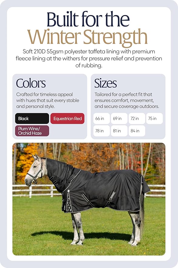 Equinavia Norse 200g Medium Weight Horse Blanket | Waterproof Winter Turnout - Black - 66 in - Black - 69 in