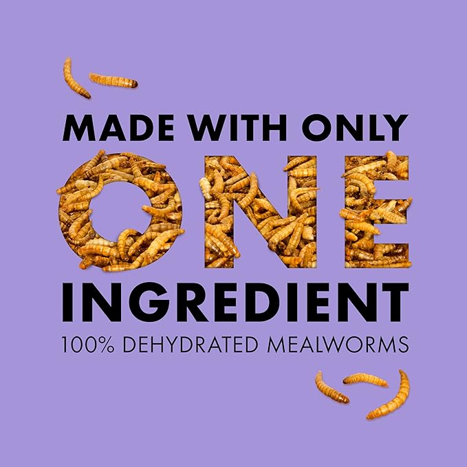 Zilla Reptile Munchies, Mealworms, All-Natural, Dehydrated Mealworms, Ideal for Bearded Dragons, Leopard Geckos, Chameleons and other lizards, Resealable Bag