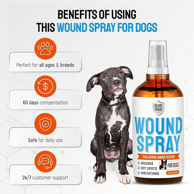 Silver Dog Wound Spray Helps with Hot Spots, Irritations, Bites, Burns, Rashes, Itch, Scratching – Better Use with a Dog Cone to Stop Licking – Safe for Large and Small Breeds – 4 oz