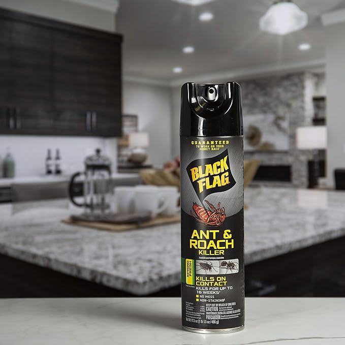 Black Flag Ant & Roach Killer Aerosol, Spring Fresh Scent, 17.5-Ounce, 12-Pack