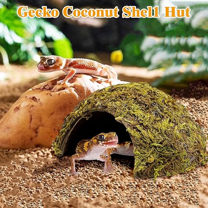 PINVNBY 2 Pack Natural Green Moss Hide Caves Coconut Reptile Hideouts Hamster Climbing Toys Gecko Habitat Decor Lizard Shell Shelter for Snake Tarantulas Turtle Chameleon