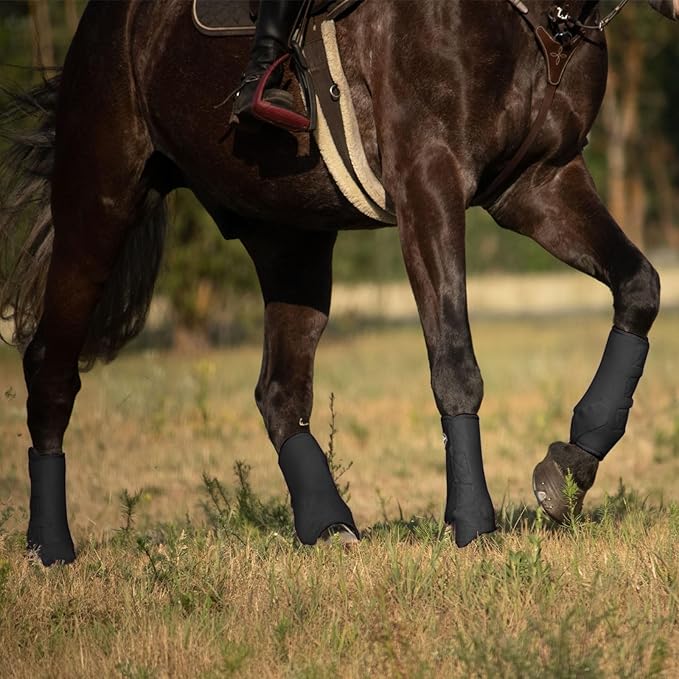 Harrison Howard Horse Sport Medicine Front Shock-Absorbing Boots All-Round Lower Limb Protection & Support Sport Boots Athletic Boots Perfect for Endurance Training and Performance Piano Black M