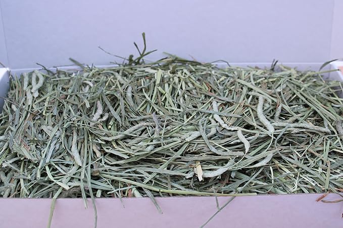 Timothy Hay 1st Cutting Hay, Ideal for Rabbits, Guinea Pigs, Chinchillas and Hamsters, High Fiber Content - 5 pounds
