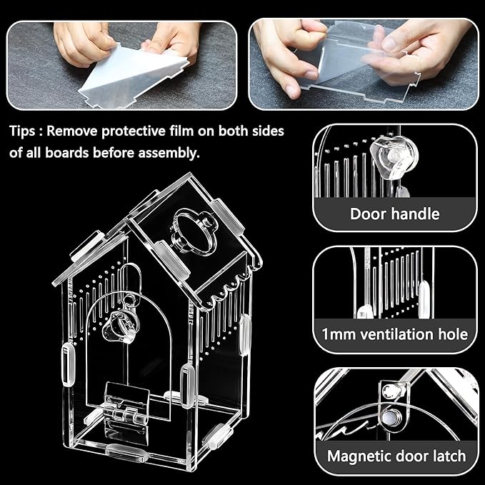 Jumping Spider Enclosure 3.15"×3.15"×5.6" - Magnetic Front Opening Acrylic Terrarium with Ventilation, Escape-Proof Habitat for Tarantulas, Mantis & Small Reptiles, No-Tool Easy Assembly