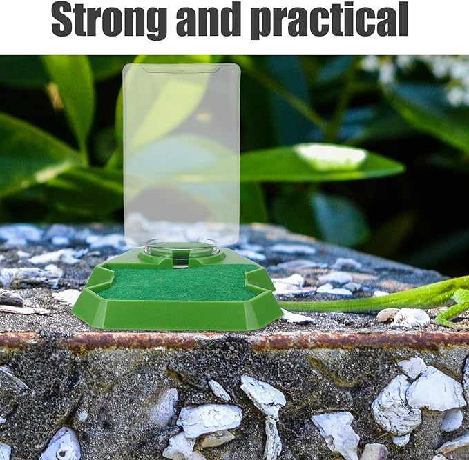 Reptile Water Dispenser and Feeding Dish, Small Green Water Feeder for Gecko and Lizard Terrarium, Hydration Accessory for Reptile Enclosure and Tortoise Care