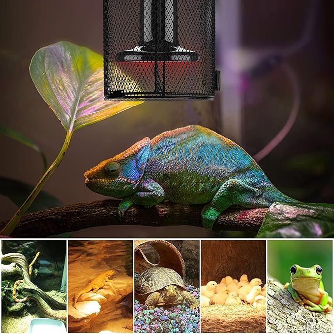 Reptile , Reptile Heating Lamp Lampshade Anti Scald Lamp Mesh Cover for Pet Reptile Amphibian Snake Lizard Turtle(Cud)
