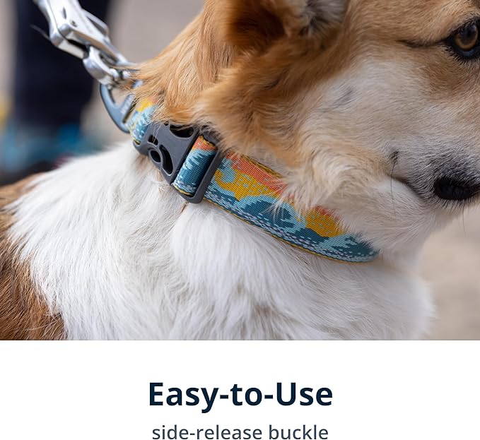 Ruffwear, Crag Dog Collar, Stylish Adventure Collar with Premium Reflective Design, Quick Release Buckle, Lightweight All-Day Comfort, Alpine Dusk, 11"-14"