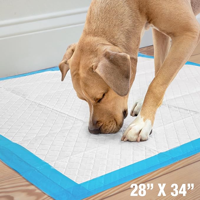 Four Paws Wee-Wee Superior Performance Unscented Extra-Large Pee Pads for Dogs & Puppies, Quilted Leak-Proof Dog Housebreaking Potty Training Floor Protection, 28" x 34", 200 Count
