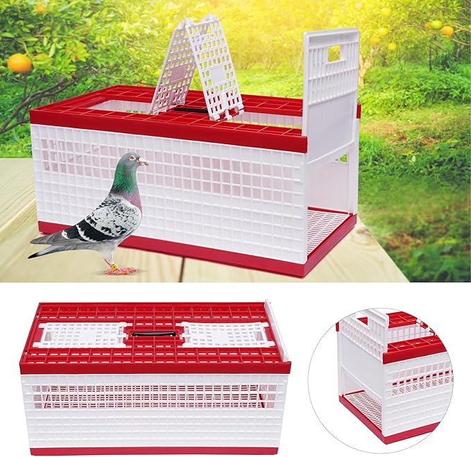 Plastic Foldable Pigeon Cage with Handle, Portable Bird Travel Carrier Cage, Pairing Cages, Pigeon Nest Box w/2 Top Department, Easy to Clean for Training and Release Competition (24"x12"x10")