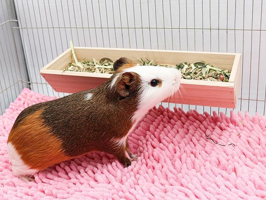 Guinea Pig Feeder Box, Wooden Small Animal Food Feeder, Hanging Rabbit Food Bowl, Small Animal Cage Accessories, Suitable for Rabbit Bunny Chinchilla Guinea Pig Hamster 11.8 × 4.3 × 2.4 Inches