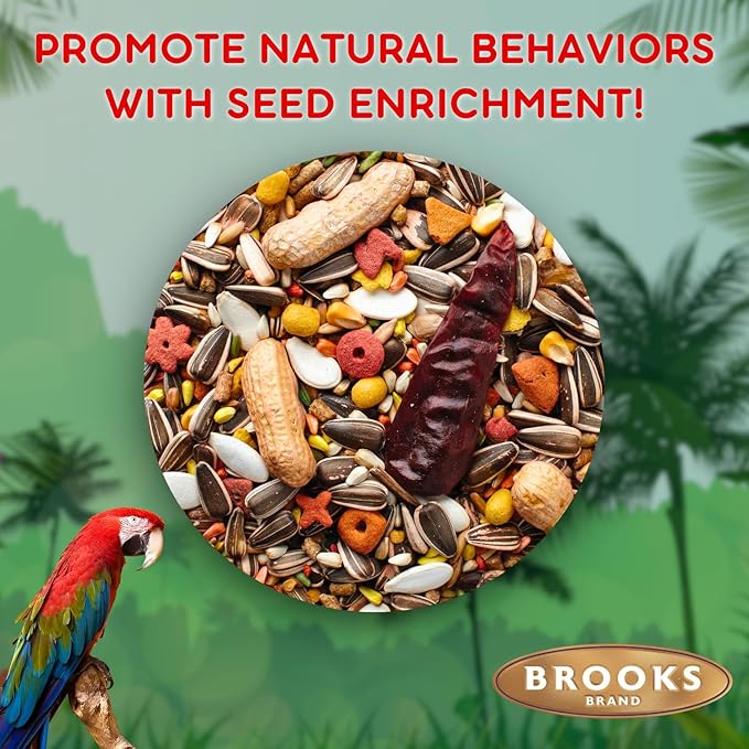Grains Plus Parrot Blend, Bird Food Parrot Seed Mix, African Grey Food, Eclectus, Indian Ringneck, Quaker