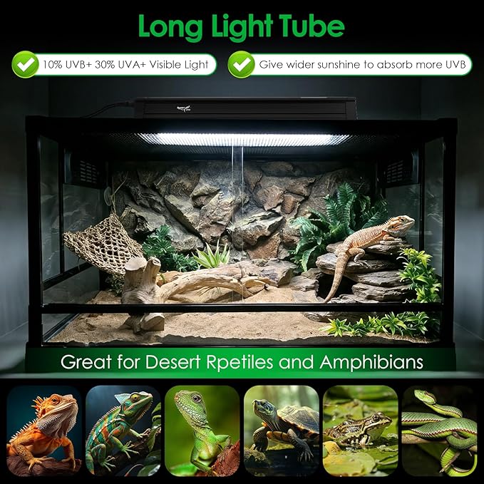 UVB Light for Reptiles Bearded Dragon, T5 UVB Reptile Light Fixture HO UVB Bulb Lighting Combo Kit 10.0 8W UVA UVB Reptile Light Bulb Terrarium Lamp Tube Bar for Snake Gecko Turtle Lizard, 12 Inch
