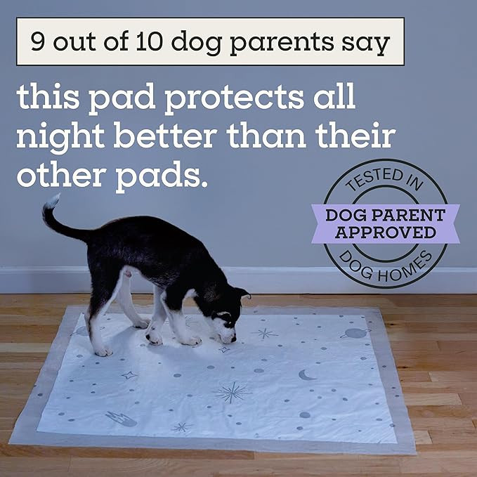 Pet Life Unlimited Overnight XXL Puppy Pads for Dogs, Potty Training Pee Pads, 30 Count, 30" x 36", Leak-Proof, Super Absorbent, Quick-Dry Overnight Protection, Made in USA