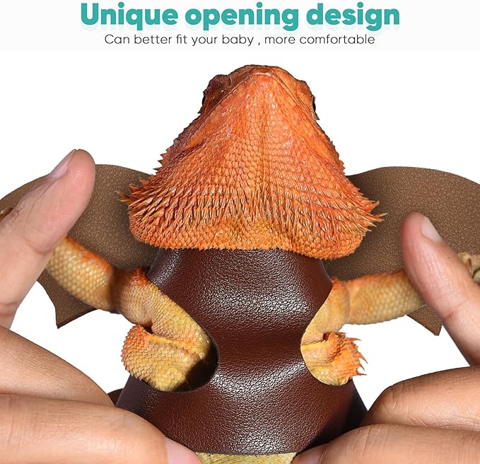 LIKZINWA Bearded Dragon Lizard Leash Harness,4 Size Pack Adjustable Small Animal Harness for Reptile and Small pet (New Dinosaur Wing)