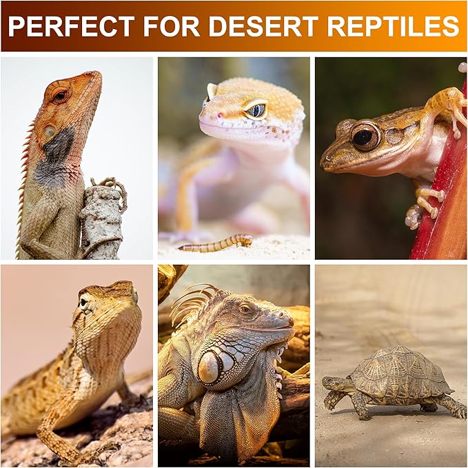 UVB Reptile Light Bulb 10.0, 5W LED High Intensity UV Replacement Lamp Bulbs for Desert Reptiles Bearded Dragons Lizard Tortoise Iguanas Chameleons Snake - 1 Pack