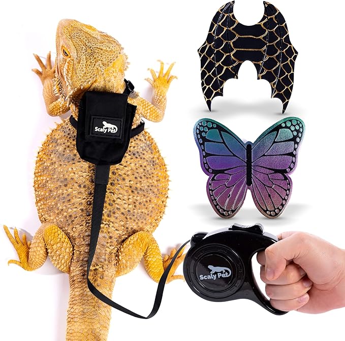Bearded Dragon Leash and Harness Set, Leopard Gecko Leash, Wings & Butterfly Wings, Comfortable Fit, Retractable and Escape-Proof Lizard Harness and Leash, Bearded Dragon Accessories.