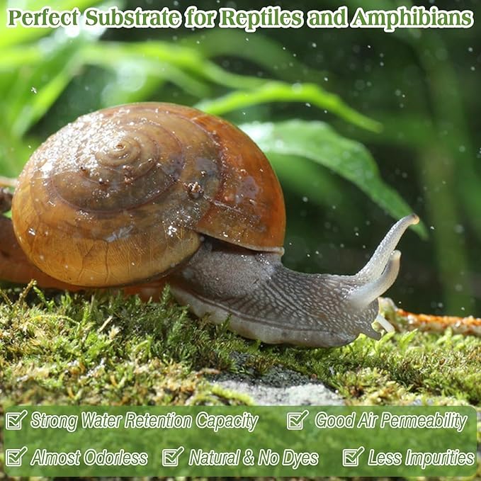 Halatool 6OZ Natural Sphagnum Moss Substrate for Reptiles - Terrarium Bedding with 72H Moisture Retention, Safe for Bearded Dragons, Geckos & Snake Shedding