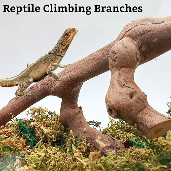 VCEPJH Snake Climbing Branch, 2Pcs Reptile Wood Natural Cork Log Tank Accessories Tree Trunk for Chameleon Bearded Dragon Gecko Snake Frog Spider