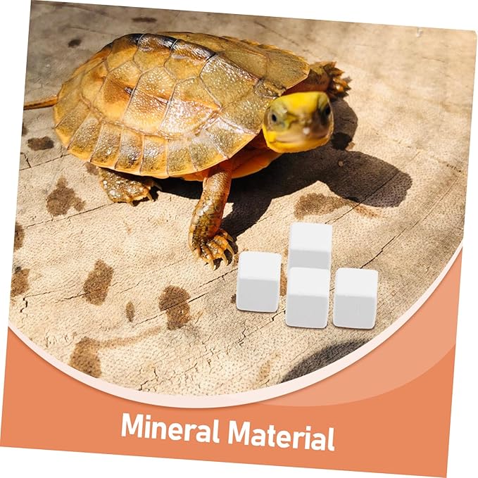 TOYANDONA 6pcs Natural for Pets Essential Chew Toys for Birds Parakeets Reptiles Turtles Chinchillas and Gerbils Sustained Mineral Supply for Healthy Teeth