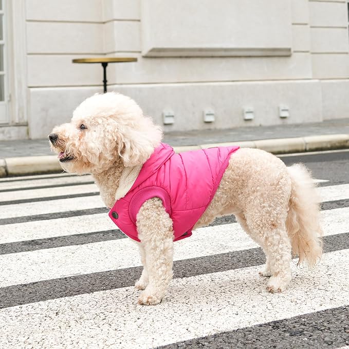 Vecomfy Fleece Lining Extra Warm Dog Hoodie in Winter,Small Dog Jacket Puppy Coats with Hooded Pink XS
