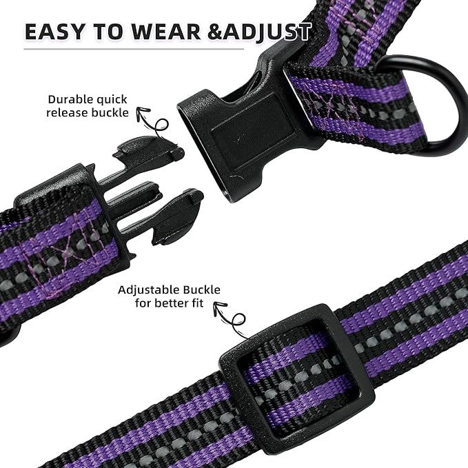 Mile High Life Night Reflective Double Adjustable Band Nylon Small Puppy Pet Dog Combo Collar Leash and Harness Set (Reflective Stripe Purple, Large (Pack of 3))