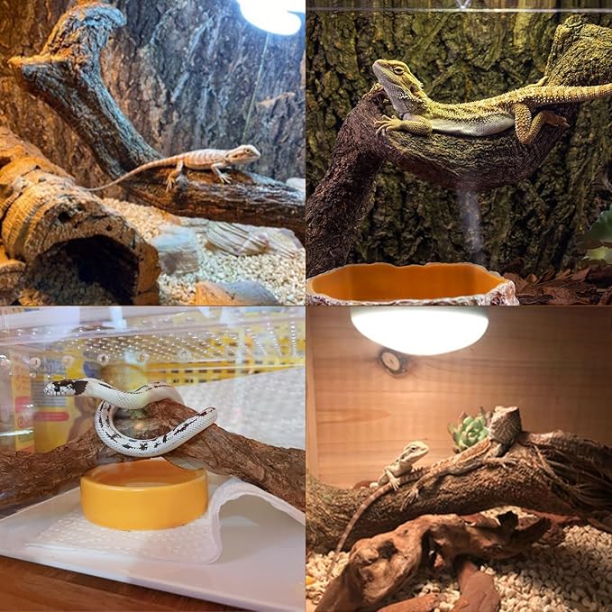Reptile Decor 4PCS Natural Forest Branch Terrarium Habitat Driftwood Decoration Lizard Climbing Tree Branch for Bearded Dragon Gecko Snake Frog Chameleon Spider