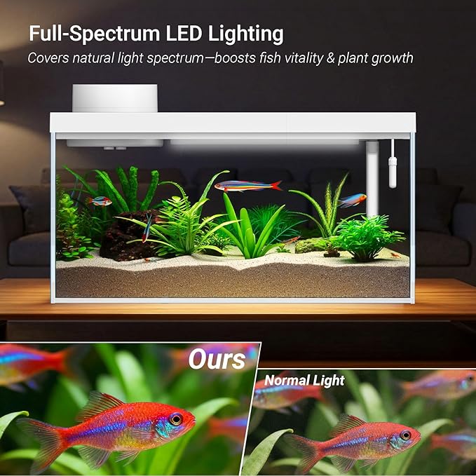 Smart Desktop Aquarium Kit with App Control - 1.3 Gal Glass Fish Tank with Automatic Feeder, RGB Lighting, & Temperature Monitor - Self-Cleaning Filtration System for Betta, Guppy