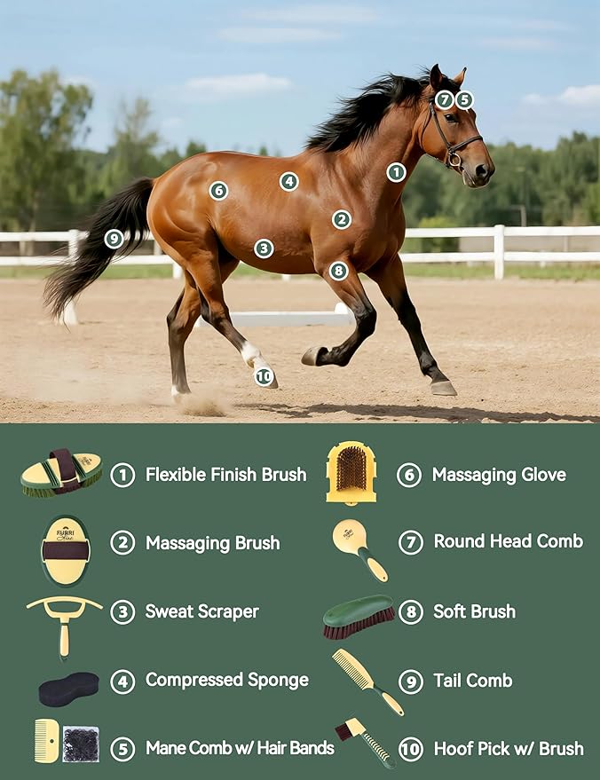 Horse Grooming Kit, 11-Piece Complete Grooming Supplies Set with Curry Comb, Brushes & Hoof Pick for Daily Care, Stable & Show Use Pasture Glow