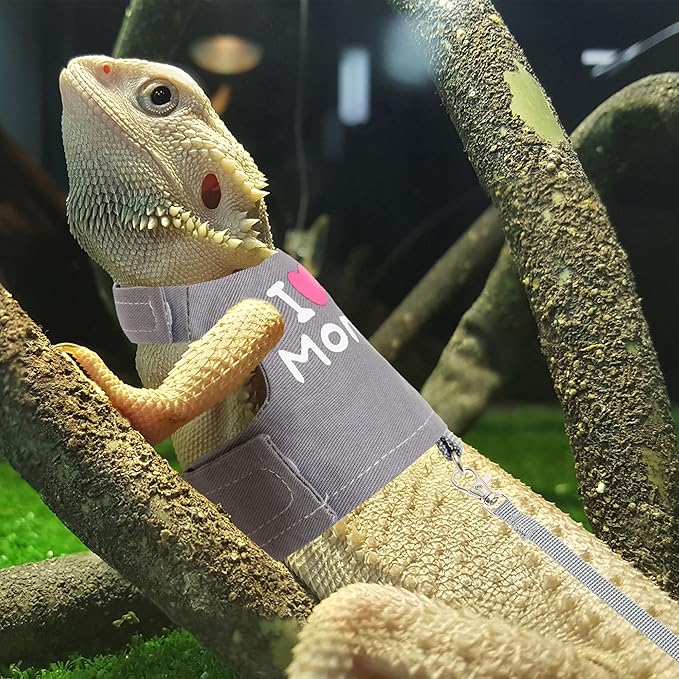 CUSOZWO Bearded Dragon Harness and Leash Set - Cute Lizard Reptile Small Animal Adjustable Harness Clothes with Short Leash for Walking Outdoor