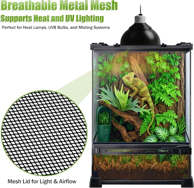 Reptile Terrarium 10"x10"x14", Full Glass Tank Enclosure for Small Reptiles, Geckos, Frogs, Lizards, Snakes, Spiders, Turtles, Vertical Rainforest Habitat