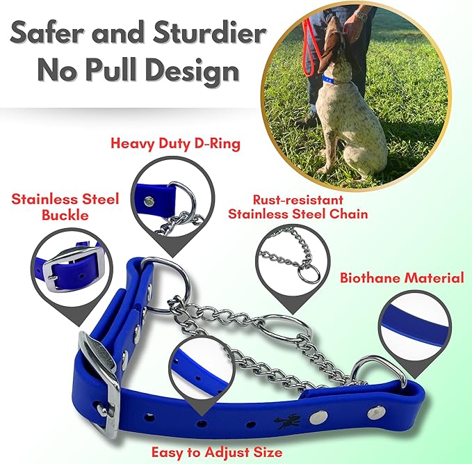 Martingale Collar for Dogs, Biothane, Stainless Steel Hardware, No Pull, Made in The USA, Professional Grade, XS, Blue