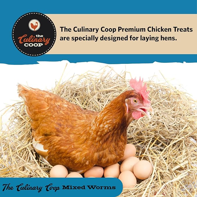 Fluker's Culinary Coop Bulk Dried Mealworms & Soldierworms, Premium Organic Dried Worm Mix for Chickens-High Protein & Omega 3 Chicken Feed for Wild Birds & Chicken Treats for Laying Hens, 10lbs