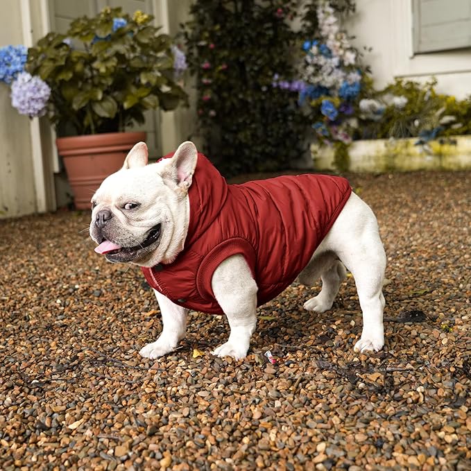 Vecomfy Fleece Lining Extra Warm Dog Hoodie in Winter for Large Dogs Jacket Pet Coats with Hooded,Red XXXL