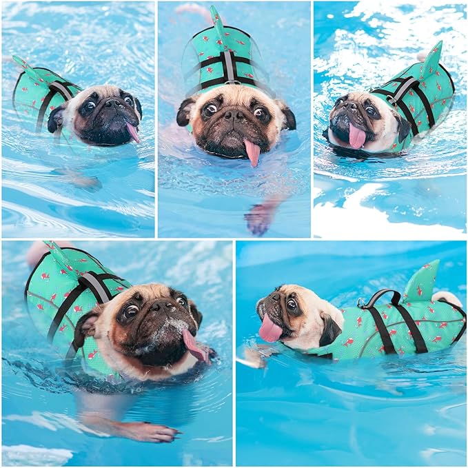 Queenmore Medium Dog Life Jacket, Dog Life Vest for Swimming with Shark Fin, Ripstop Dog Lifevests for Boating with Handle/Leash Hook, Pet Safety Water Vest for French Bulldogs Dachshunds