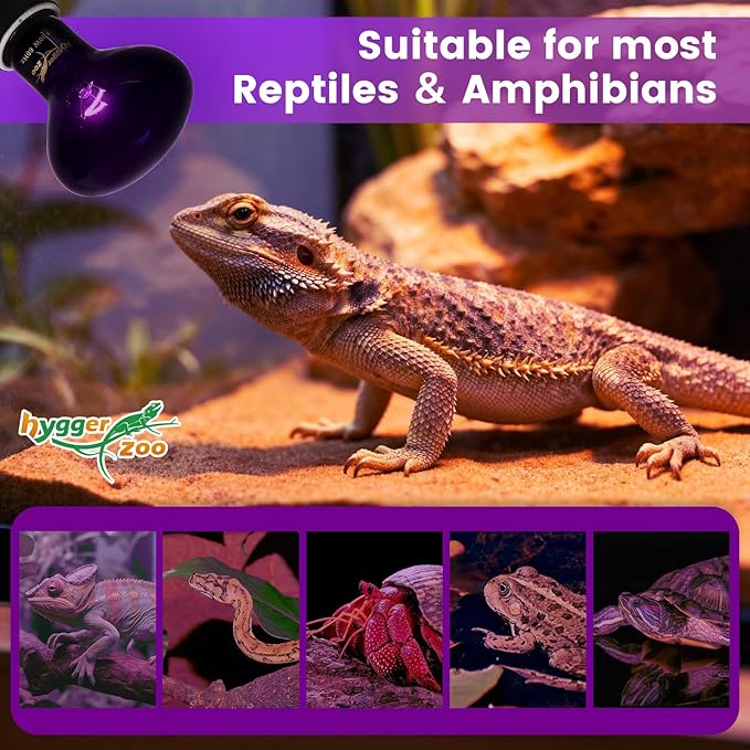 75W Reptile Night Light Bulb – 2-Pack Moonlight Purple Glow, Gentle Heat & UVA for Nocturnal Basking, E26 Base, Perfect for Bearded Dragon, Lizard, Turtle, Chicken