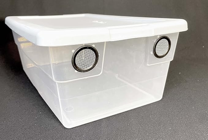 Vented Enclosure 6 Quart Vivarium Terrarium 4 Vent Container for Reptiles Isopods Set (Set of 2)