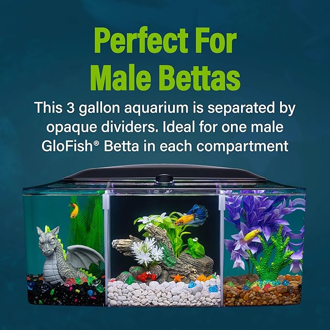 GloFish Betta Trilogy Aquarium, 3 Gallons, Includes LED Lights and Filter