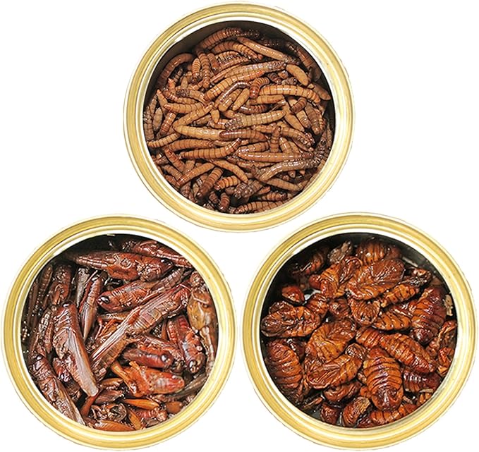 Canned Insect Assortment (3 Pack) - Healthy High-Protein Treat - Sugar Gliders, Hedgehogs, Skunks, Squirrels, Wild Birds, Opossums, Turtles, Tropical fish, Reptiles, Amphibians & Other Small Pets