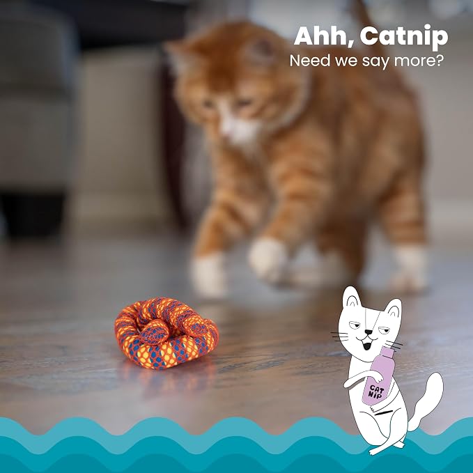 Catstages Plaque Away Pretzel Cat Toy ?€? Interactive Catnip Dental Chew Toy to Help Clean Teeth, Fun for Play and Chewing, Orange (Pack of 2) - Image 3