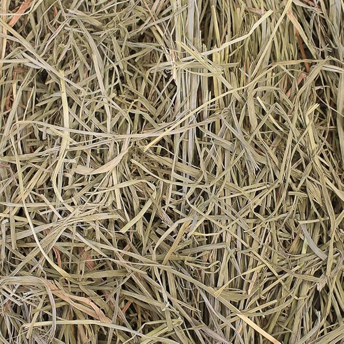 Grandpa's Best Premium Orchard Grass Hay for Rabbits, Guinea Pigs, Chinchillas, Hamsters & Gerbils, 20lb Loose Boxed, Brown